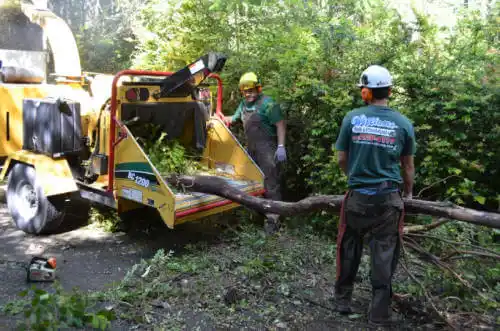 tree services Blairsville